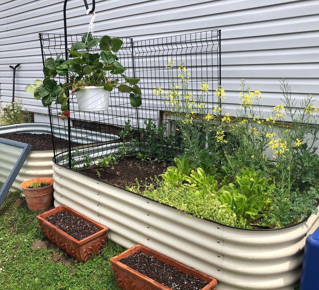 What Is Your Best Advice For Raised Bed Gardening?
