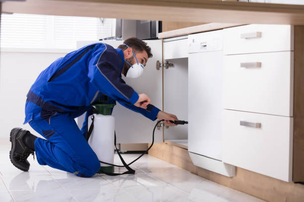 Why You Required to Seek Pest Control Service For Your Restaurant